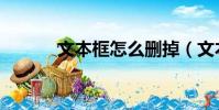 文本框怎么刪掉(文本框只讀)