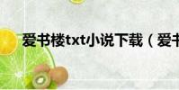愛書樓txt小說下載(愛書樓小說論壇)