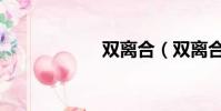雙離合(雙離合器)