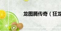 龍圖騰傳奇(狂龍圖騰)