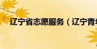 遼寧省志愿服務(遼寧青年志愿服務網)