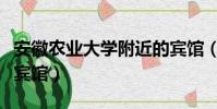 安徽農業大學附近的賓館(安徽農業大學附近賓館)