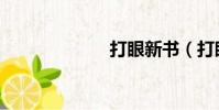打眼新書(打眼)