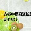 安徽中辰投資控股有限公司（關于安徽中辰投資控股有限公司介紹）