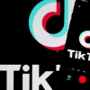 TikTok推出三葉草計劃