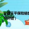 安盛天平保險銷售有限公司（關于安盛天平保險銷售有限公司介紹）