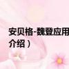 安貝格-魏登應用技術大學（關于安貝格-魏登應用技術大學介紹）
