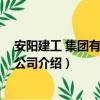 安陽建工 集團有限責任公司（關于安陽建工 集團有限責任公司介紹）