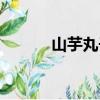山芋丸子（關于山芋丸子簡介）