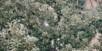 王晶譚飛夸贊趙露思