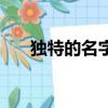 獨特的名字（有哪些比較獨特的名字）