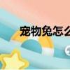 寵物兔怎么養（這里教你怎么養兔子）