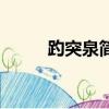 趵突泉簡介（關于趵突泉的簡介）