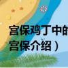 宮保雞丁中的宮保是什么意思（宮保雞丁中的宮保介紹）