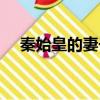 秦始皇的妻子是誰（秦始皇的妻子介紹）