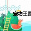寵物王國2介紹（講解寵物王國2）