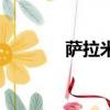薩拉米是什么（薩拉米介紹）