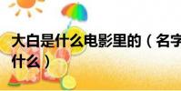 大白是什么電影里的(名字有大白的電影名是什么)