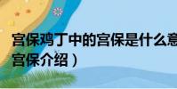 宮保雞丁中的宮保是什么意思(宮保雞丁中的宮保介紹)