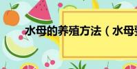 水母的養殖方法(水母要怎么飼養)