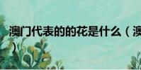 澳門代表的的花是什么(澳門代表的的花是啥)