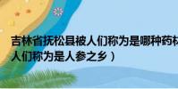 吉林省撫松縣被人們稱為是哪種藥材之鄉(吉林省撫松縣被人們稱為是人參之鄉)