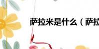 薩拉米是什么(薩拉米介紹)