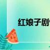 紅娘子劇情簡介（紅娘子劇情介紹）