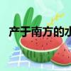 產于南方的水果有哪些（南方的水果列舉）