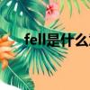 fell是什么意思（英語fell是什么意思）