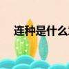 連種是什么意思（連種應該是什么意思）