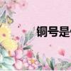 銅號是什么意思（銅號的意思）