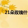 21朵玫瑰什么意思（21朵玫瑰代表什么）