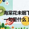 海棠花未眠下一句應該怎么說（海棠花未眠下一句是什么）