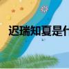遲瑞知夏是什么電視劇（該劇講述了什么）