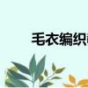 毛衣編織教程（教你怎么編織毛衣）