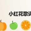 小紅花歌詞（歌曲小紅花的完整歌詞）