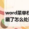 word菜單欄隱藏了怎么辦（word菜單欄隱藏了怎么處理）