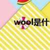 wool是什么意思（wool解釋及例句）