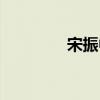 宋振中（關于宋振中介紹）