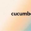 cucumber怎么讀（是什么意思呢）