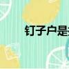 釘子戶是指什么人（釘子戶的意思）
