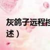 灰鴿子遠程控制方法（灰鴿子遠程控制方法簡述）