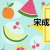 宋成軍（關于宋成軍介紹）