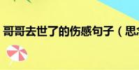 哥哥去世了的傷感句子(思念句句戳中淚點)