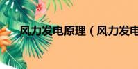 風力發電原理(風力發電原理是什么)