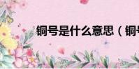 銅號是什么意思(銅號的意思)