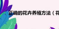 正確的花卉養殖方法(花卉怎么養殖)