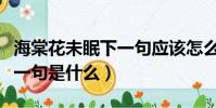 海棠花未眠下一句應該怎么說(海棠花未眠下一句是什么)