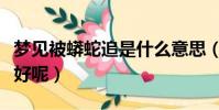 夢見被蟒蛇追是什么意思(夢見被蟒蛇追好不好呢)